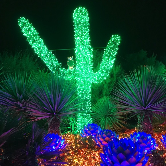 Meet your Posher, Crystal - Picture 1 of 1